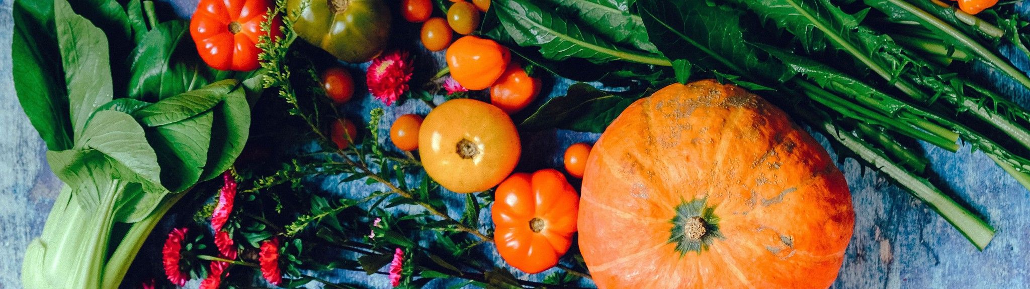 Cosecha tu propia fruta de huerta