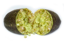 Caviar cítrico, Citrus australasica