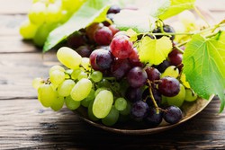 Parras de uva de mesa