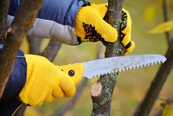 Pâte de Taille Naturelle MALUSAN NEUDORFF Blessures Arbres et