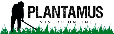 Plantamus | Viveiro na Galiza e loja online de jardinagem