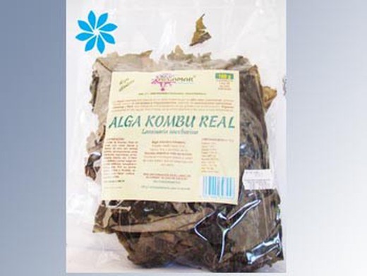 Alga ecológica kombu real, kombu rápida (laminaria sacharina)