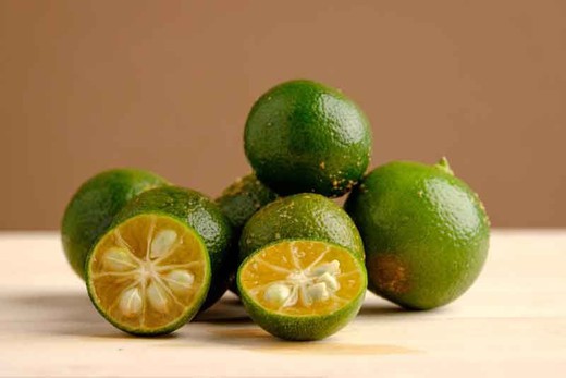 Calamondin, naranjo chino en maceta, Citrus fortunella mitis