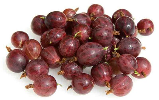 Grosello espinoso rojo Hinnonmaki red, uva espina