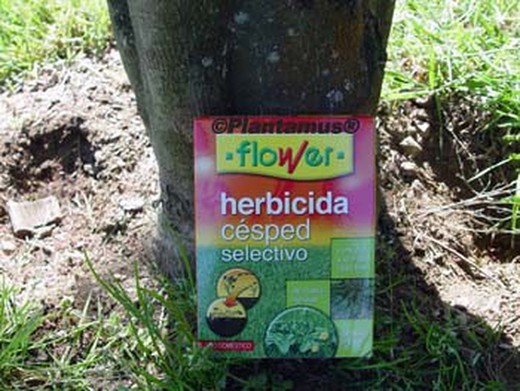Herbicida selectivo para eliminar hierbas de hoja ancha en césped