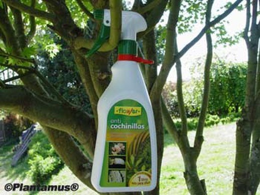 Insecticida anti cochinillas listo para usar, clorpirifos