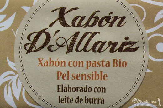 Jabón con leche de burra con pasta BIO