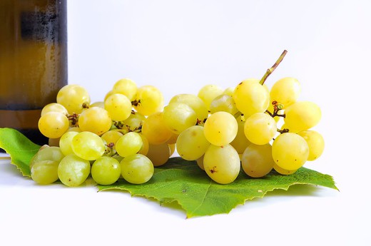 Wine Strains Récoltez vos propres vignes! — Plantamus Pépinière en ligne