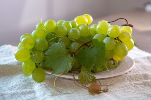 Parra de uvas de mesa Italia.