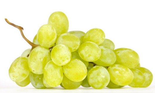Videira de Moscatel branca, plantas para uvas de mesa.