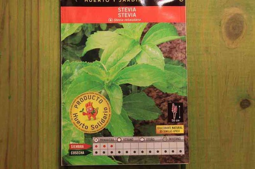 Semilla aromática de stevia, Stevia rebaudana