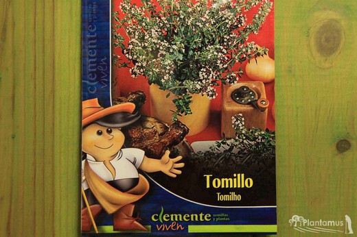 Tomilho, tarigola, tomilho sementes aromáticas