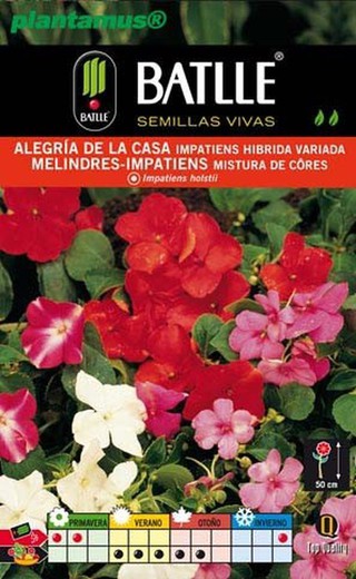 Semilla de godecia doble flor de azalea variada — Plantamus Vivero online