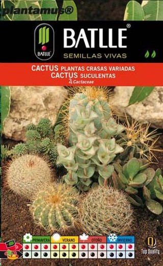 Semilla de cactus, plantas crasas variadas