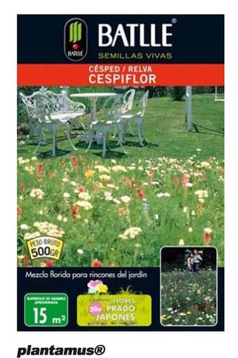 Semente de grama Cespiflor, mistura de flores para jardim