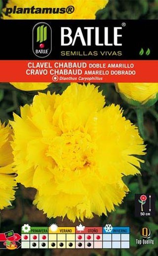 Semilla de clavel chabaud doble amarillo, dianthus caryophillus
