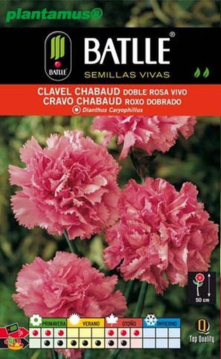 Semilla de clavel chabaud doble rosa, dianthus caryophillus