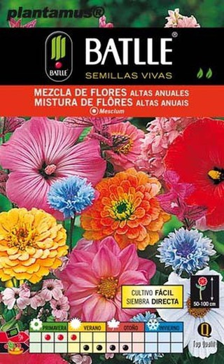 Semilla de mezcla de flores altas anuales, mistura, mesclum