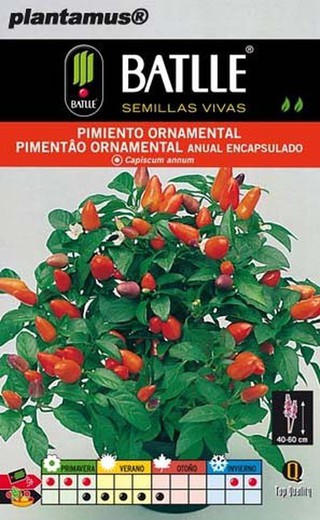 Semilla de pimiento ornamental, capiscum annum