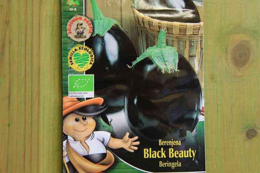 Semilla ecológica de berenjena black beauty (redonda negra)