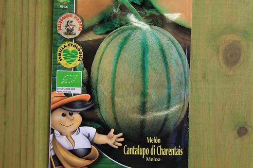 Graine de melon cantaloup biologique du Charentais
