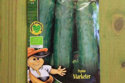 Semilla ecológica de pepino marketer