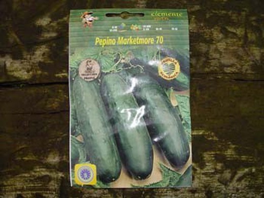 Semilla ecológica de pepino marketmore 70