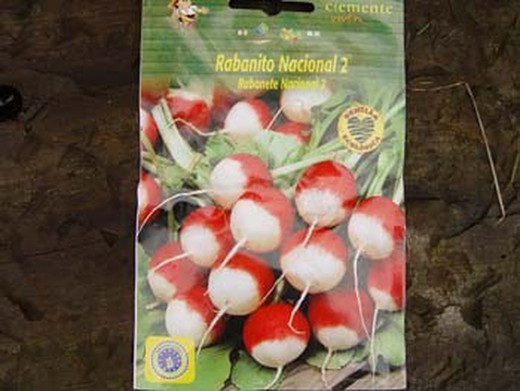Semilla ecológica de rabanito nacional 2 redondo rojo punta blanca