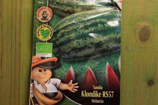 Semilla ecológica de sandía klondike RS57