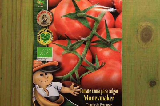 Graine de tomate écologique suspendue ou branche de fabrication d'argent
