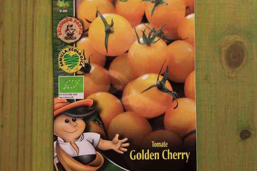 Semilla ecológica de tomate golden cherry, cereza amarilla