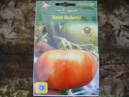Semilla ecológica de tomate muchamiel