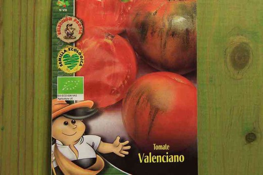 Sementes de tomate orgânico valenciano