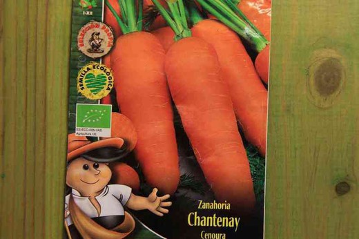 Semilla ecológica de zanahoria chantenay