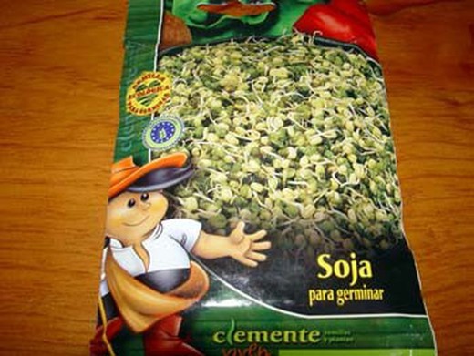 Semilla ecológica para germinar de soja