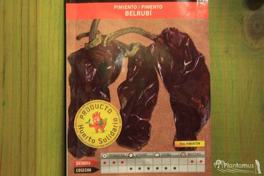 Semilla hortícola de pimiento belrubi