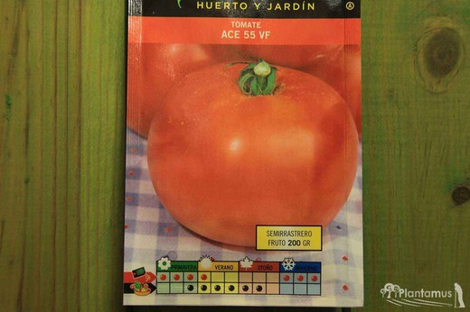 Semilla hortícola de tomate ace 55 vf