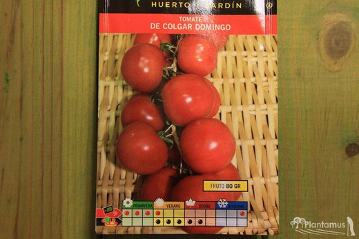 Sementes de tomate horticultural de suspensão sel. domingo