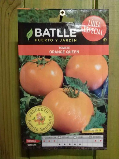 Semilla hortícola de tomate orange queen