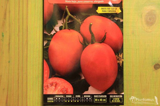 Semilla hortícola de tomate rio grande