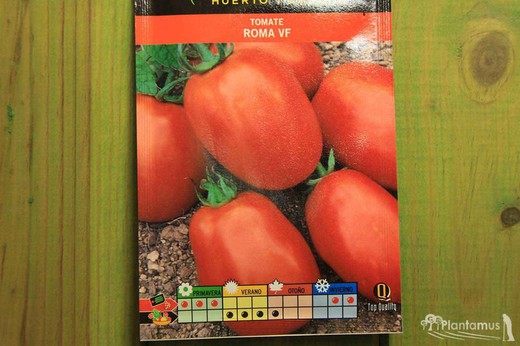 Semilla hortícola de tomate roma vf