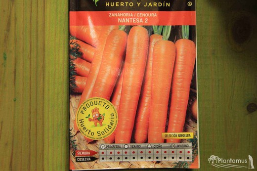 Semilla hortícola de zanahoria nantesa 2 sel. urgelba, cenoura, daucus carota