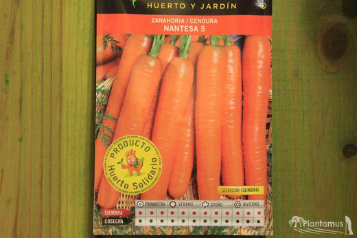 Semente de cenoura hortícola nantesa 5 sel. cilindro, cenoura, daucus carota