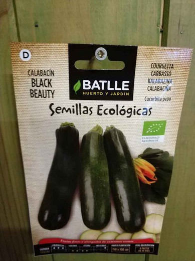 Semillas de calabacín ecológico black beauty