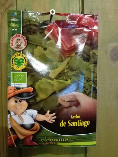 Semillas de grelos de Santiago ecológicos