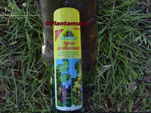 Spray de polimento de folhas para plantas de interior ecológicas