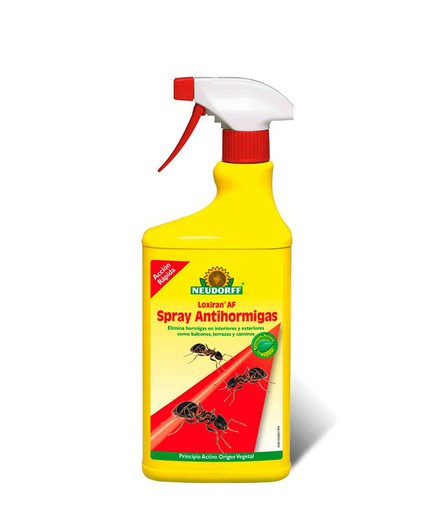 Antihormigas ecológico, mata hormigas, antiformigues
