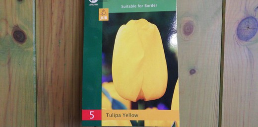 Tulipanes amarillos