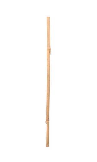 Tutor de bambú de 75 cm
