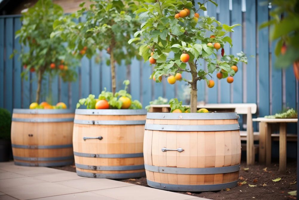 Árboles Frutales Baratos